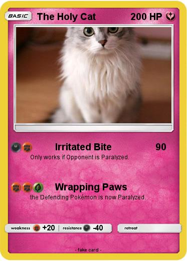 Pokemon The Holy Cat