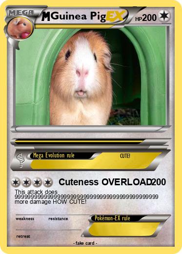 Pokemon Guinea Pig