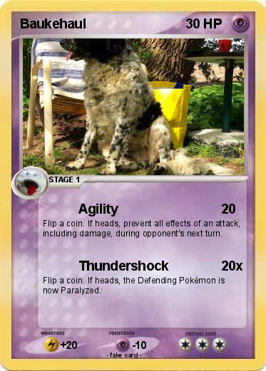Pokemon Baukehaul
