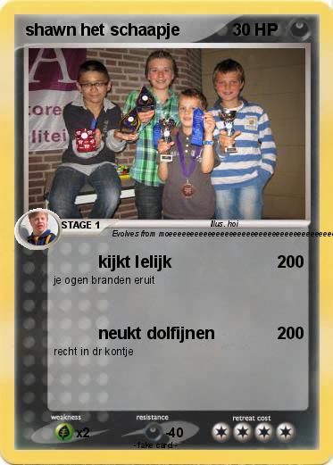 Pokemon shawn het schaapje