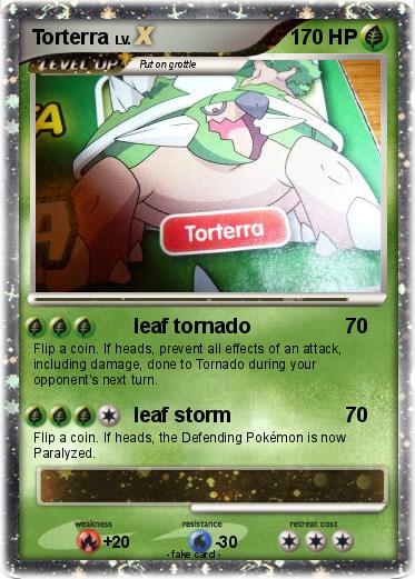 Pokemon Torterra