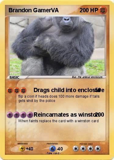 Pokemon Brandon GamerVA