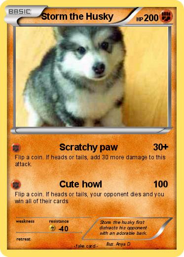 Pokemon Storm the Husky