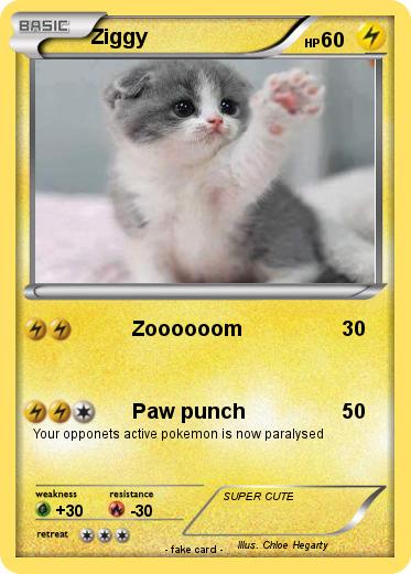 Pokemon Ziggy