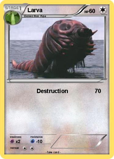 Pokemon Larva