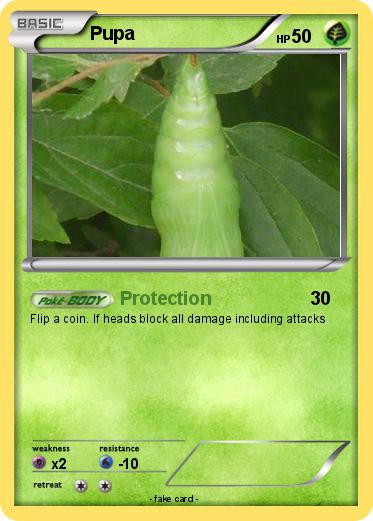 Pokemon Pupa