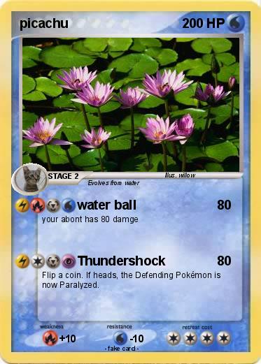 Pokemon picachu