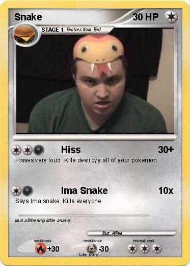 Pokemon Snake