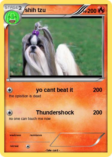 Pokemon shih tzu