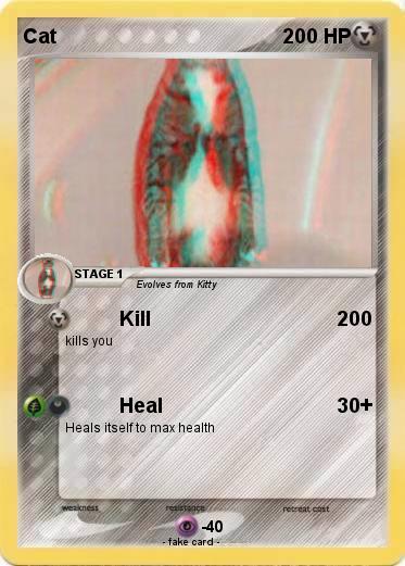 Pokemon Cat