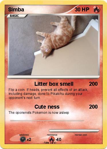 Pokemon Simba