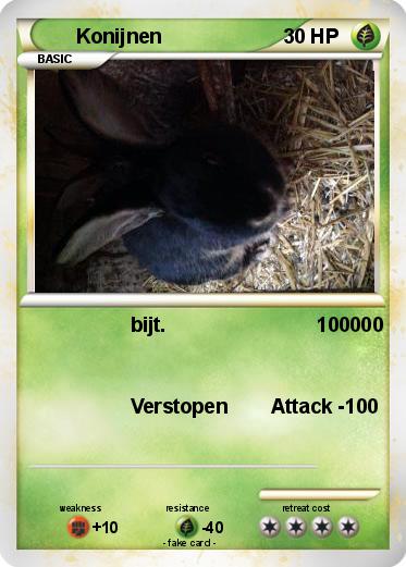 Pokemon Konijnen