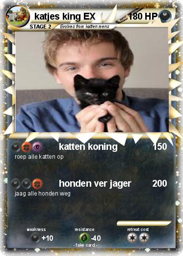 Pokemon katjes king EX
