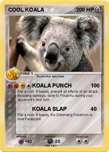 Pokemon COOL KOALA