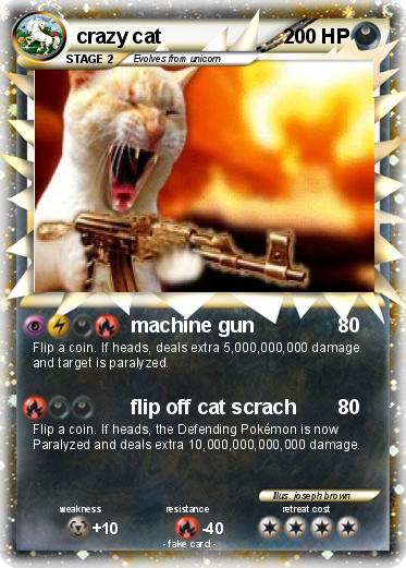 Pokemon crazy cat
