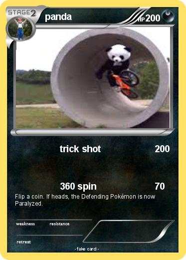 Pokemon panda