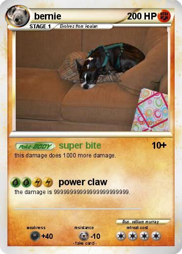 Pokemon bernie