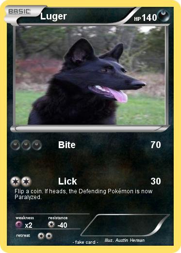 Pokemon Luger