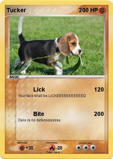 Pokemon Tucker