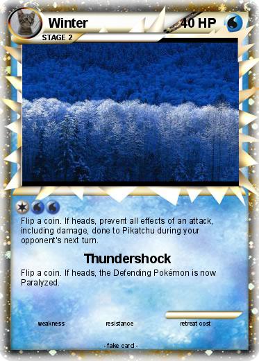 Pokemon Winter
