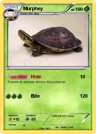 Pokemon Murphey