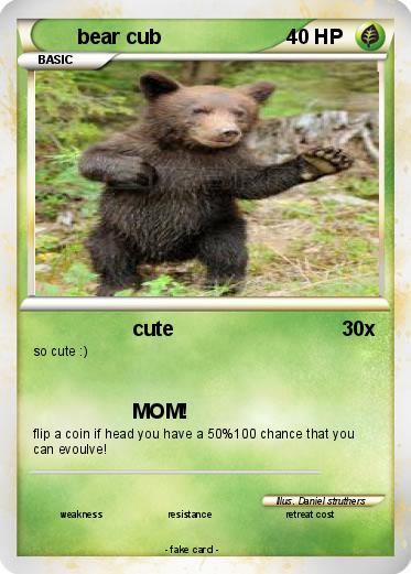 Pokemon bear cub