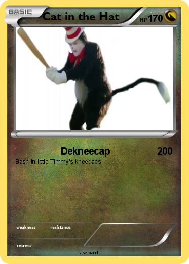 Pokemon Cat in the Hat