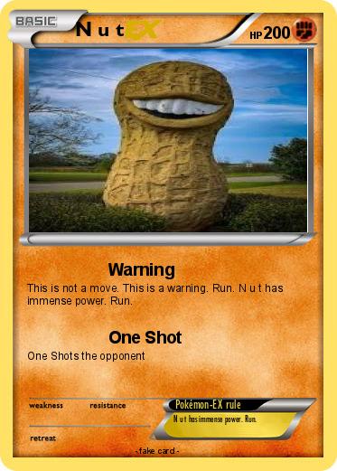 Pokemon N u t