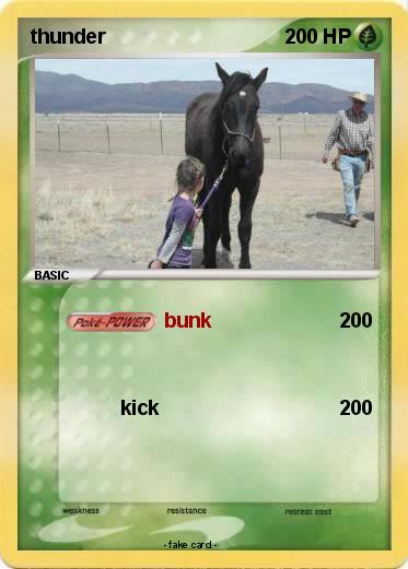 Pokemon thunder