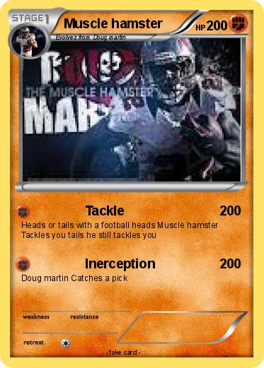 Pokemon Muscle hamster