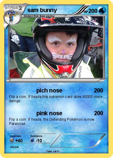 Pokemon sam bunny