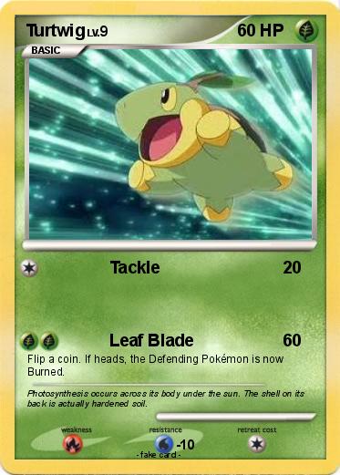 Pokemon Turtwig