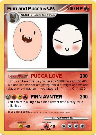 Pokemon Finn and Pucca