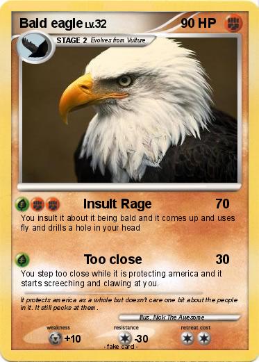 Pokemon Bald eagle