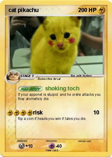 Pokemon cat pikachu