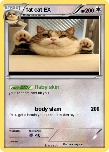 Pokemon fat cat EX