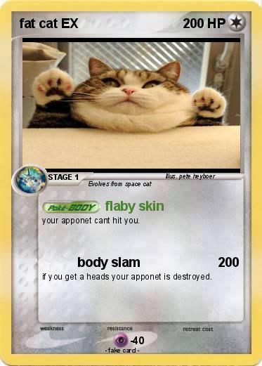 Pokemon fat cat EX