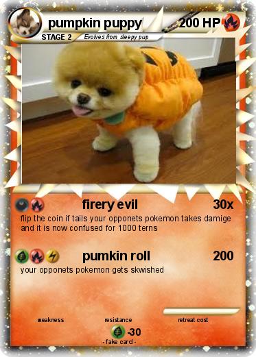 Pokemon pumpkin puppy
