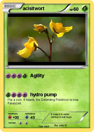 Pokemon acisitwort
