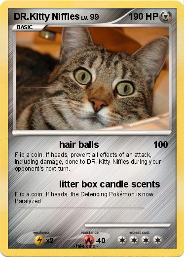 Pokemon DR.Kitty Niffles