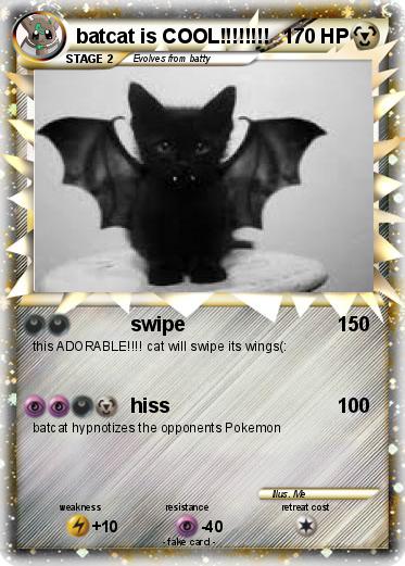 Pokemon batcat is COOL!!!!!!!!