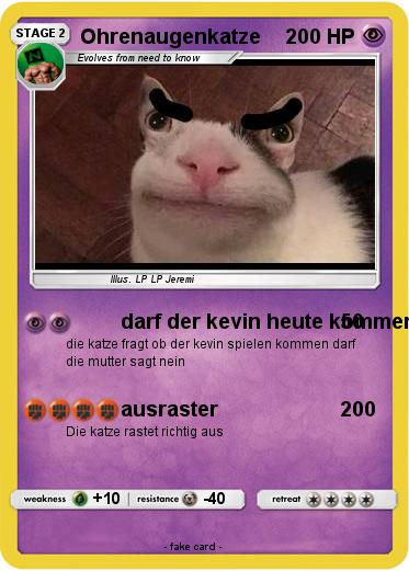 Pokemon Ohrenaugenkatze