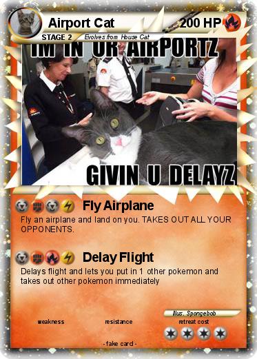 Pokemon Airport Cat