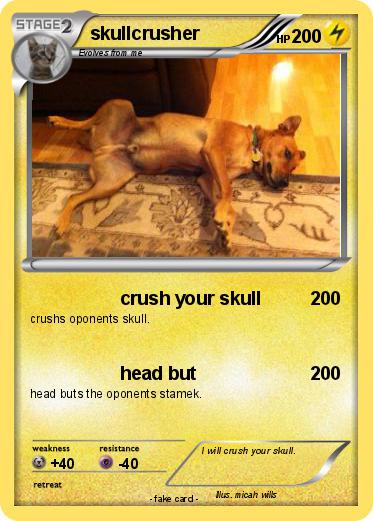 Pokemon skullcrusher