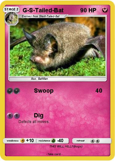 Pokemon G-S-Tailed-Bat