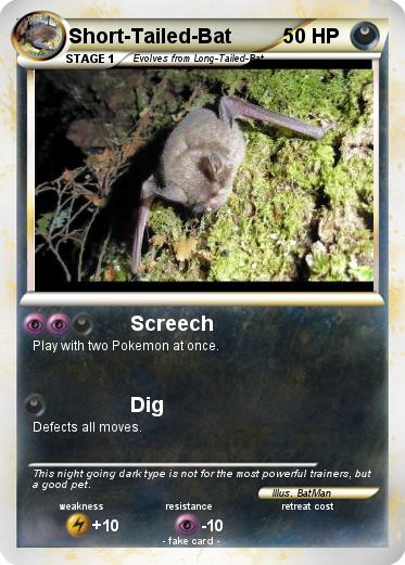 Pokemon Short-Tailed-Bat