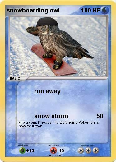 Pokemon snowboarding owl