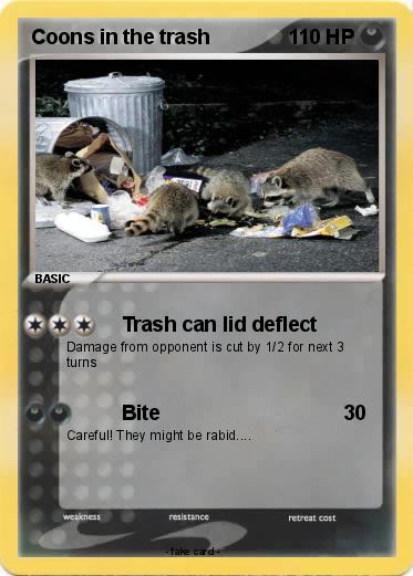 Pokemon Coons in the trash