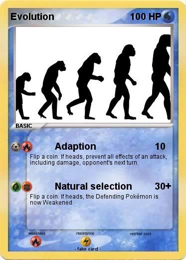 Pokemon Evolution