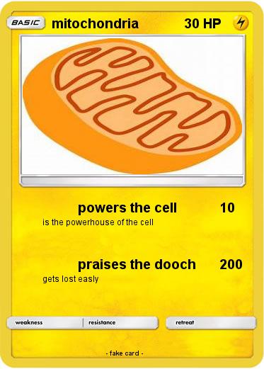 Pokemon mitochondria